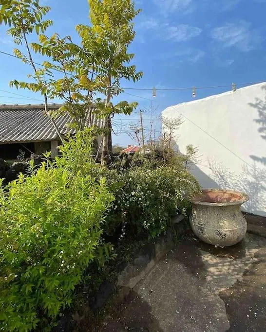 Gonae Reborn Villa Jeju 0*,  South Korea