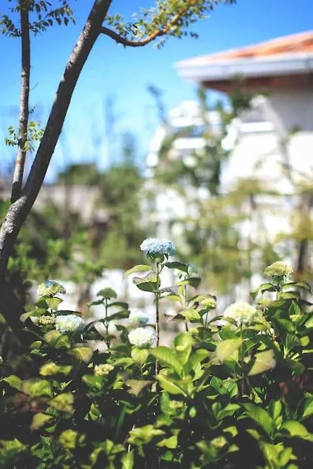 Gonae Reborn Villa Jeju Holiday home